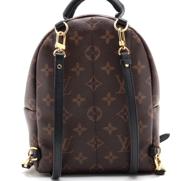 Louis Vuitton Palm Spring Mini Backpack - Picture 6 of 15